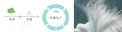 888电子科技